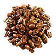 Medium Roast